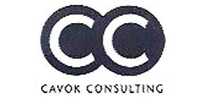 Referenz Cavoc-Consulting